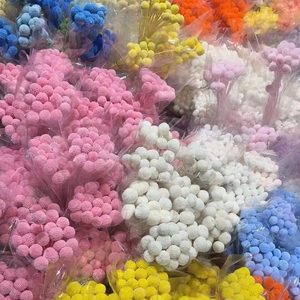 Flores Secas Preservadas Billy Button y Plantas Billy Ball Craspedia Natural para Decoración de Bodas y Hogar - Product Image 4