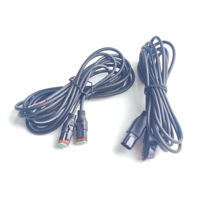 IATF16949 Benutzer definierte über geformte Deutsch-Stecker LED-Licht Pig tails Dt 2-poliger schwarzer wasserdichter Stecker Automotive 2-adrige Kabelbaum kabel - Product Image 1