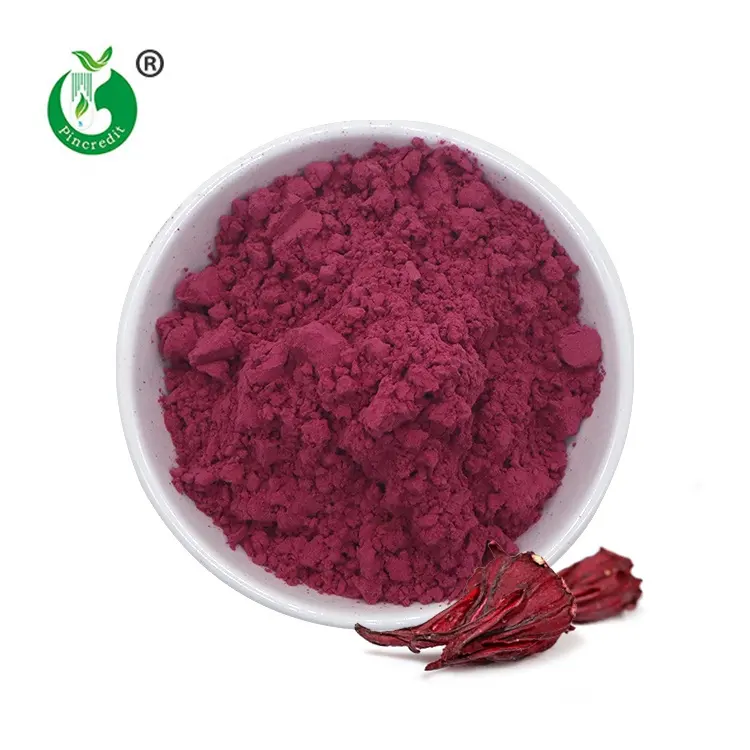 Fornitura diretta in fabbrica 100% puro naturale organico 200 Mesh Ultra Hibiscus Flower Hibiscus Powder