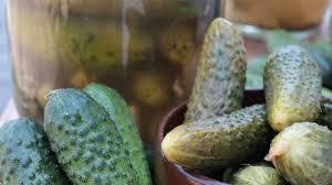Concombres fermentés en marinade |   Fournisseur de cornichons en conserve en gros |   Prix d'exportation compétitif - Product Image 3