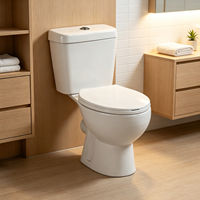 Ensemble WC moderne 2 pièces avec cuvette intégrée, couleur vert nouveau