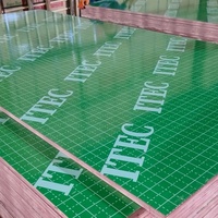 Encofrado de Hormigón Impermeable de Primera Clase Ecológico de Álamo E1 Verde de 12/15/18mm para Construcción de Edificios