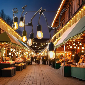 220V ngoài trời LED bóng đèn dây tóc chuỗi đèn phổ biến S14 E26 <span class=keywords><strong>E27</strong></span> ổ cắm Patio trang trí Giáng sinh ngoài trời chiếu sáng trang trí - Product Image 2