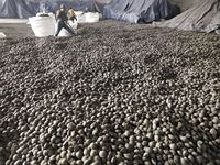 Briquettes de silicium, billes de silicium Si 50-65 10-50mm, agent d'alliage à faible teneur en impuretés pour la fabrication de l'acier, matière première pour fonderie