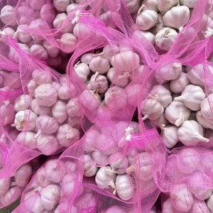 Ajo recién cosechado de 4.5-7 cm de tamaño, incluyendo variedades blancas puras y rojas, apto para cocinar y plantar. - Product Image 3