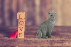 Figurines d'animaux en résine <span class=keywords><strong>Reality</strong></span> Texture Orange/Noir/Gris pour décoration intérieure ou cadeaux en stock - Product Image 6