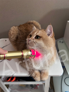 Dispositif vétérinaire <span class=keywords><strong>laser</strong></span> de thérapie <span class=keywords><strong>laser</strong></span> de bas niveau Arfurla pour appareil de physiothérapie pour animaux de compagnie à usage vétérinaire - Product Image 4
