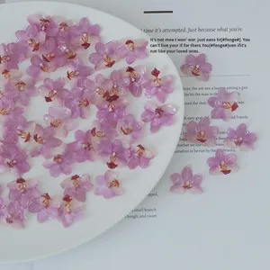 Bất Khô Đầu Hoa Tự Làm Nhựa Phalaenopsis Hoa Lan Hoa Đinh Thành phần Cho Bông Tai - Product Image 2