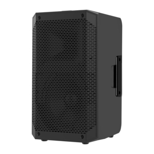 <span class=keywords><strong>V</strong></span> haut-parleur audio sans fil pour fête à l'extérieur et à la maison double 12 pouces pour les représentations de théâtre communautaire - Product Image 5