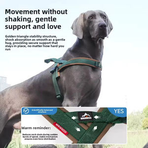 Arnés de moda para perro, conjunto de arnés para mascotas, de nailon transpirable, reflectante, con correa de pecho tipo silla, collar antiescape y asa, colorido - Product Image 4