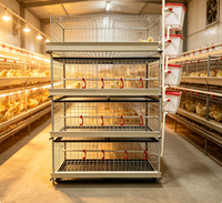 Cage à poulets robuste à 4 niveaux et 2 portes pour 80 poulets de chair