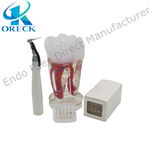Instrument dentaire, limes rotatives endodontiques en Niti de 25 mm, couleur arc-en-ciel, SX-F3, force de coupe supérieure, <span class=keywords><strong>prix</strong></span> d'usine en Chine - Product Image 5