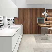 Ensemble d'armoires de cuisine BAINNEG, fabricant de meubles de cuisine, armoires de cuisine personnalisées en acier inoxydable, fabrication professionnelle sur mesure