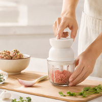 Multifunctionele 500ML glazen kom, snelle mini elektrische keukenhulp voor kruiden, babyvoeding, vlees, fruit en voedsel.
