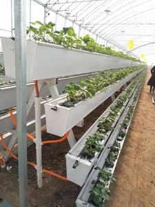 <span class=keywords><strong>Canalone</strong></span> idroponico verticale della serra per <span class=keywords><strong>il</strong></span> sistema di coltivazione idroponico della fragola - Product Image 6