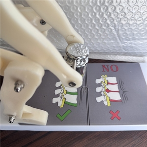 Modelo de Demostración del Fuerza de Presión en la Columna Vertebral y la Columna Lumbar Durante el Levantamiento de Peso Humano - Product Image 6