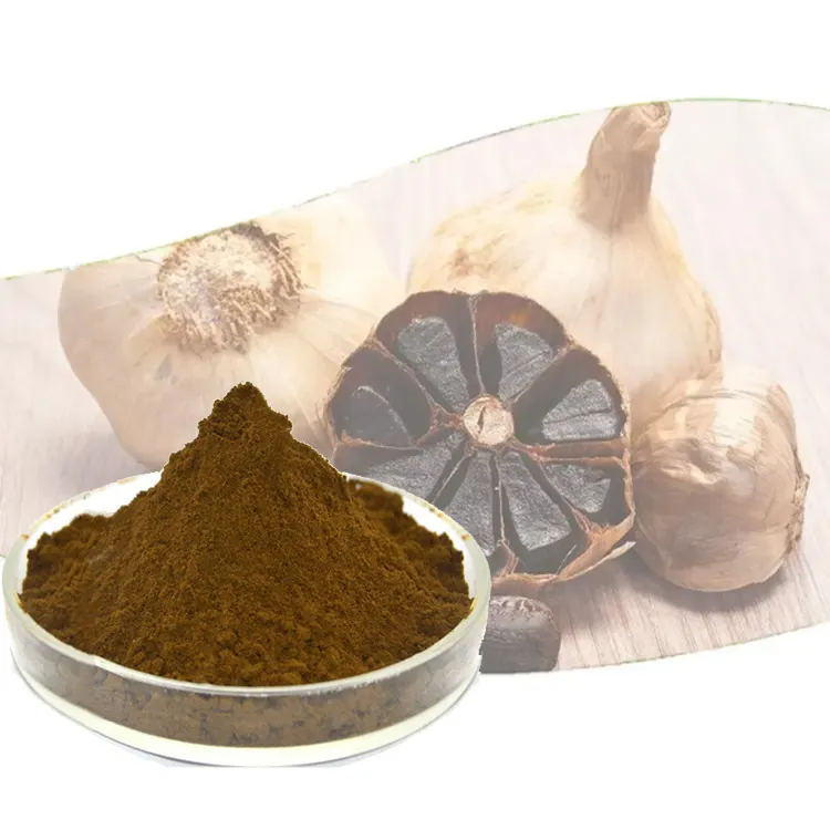 wholesale price organic bulk black garlic extract 1% Allicin powder buy black garlic