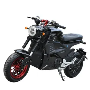 새로운 도착 EEC coc를 가진 가장 새로운 빠른 소형 자전거 Moto 전기 경주 오토바이