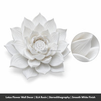 Fabricant de prototypes de modèles squelettiques en résine UV-curable pour impression 3D SLA de haute précision, certifié ISO 9001, faible MOQ