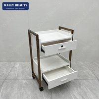 Chariot de spa professionnel, chariot de salon de beauté, chariot d'esthéticienne mobile avec 2 tiroirs, étagère ouverte, serrure et roulettes