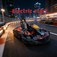 Go Kart a Gasolina para Parque de Atracciones, Karts de Carreras para Adultos con Freno de Disco Trasero