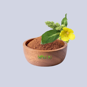 Экстракт листьев мультивита (<span class=keywords><strong>Verbascum</strong></span> <span class=keywords><strong>thapsus</strong></span>) в порошке, натуральный, 4:1-20:1, оптовая поставка с завода - Product Image 1