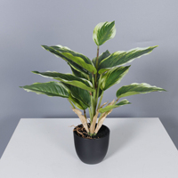 Plante artificielle Aglaonema variegata à toucher réel en pot, fausse plante verte pour la décoration de bureau, salon, intérieur et aménagement paysager domestique
