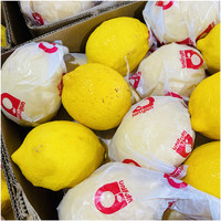Hoge Kwaliteit Een Verse Citroenrijke Boer China 15Kg/Carton Sic 4.5-6 Cm 5 Maanden Looptijd Fob Cif Cfr September Cn