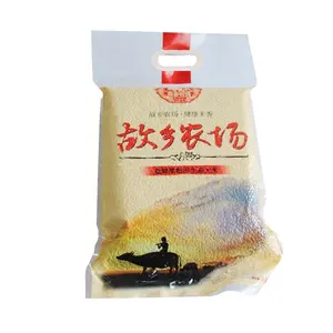 1kg,2kg,5kg,10kg Vacuum Bag for Rice Packaging/Plastic Rice Bags With Handle