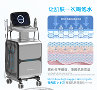 Appareil professionnel pour le visage, micro-irrigateur cutané à haute teneur en oxygène bleu