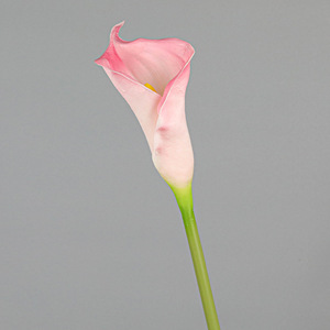 Nueva llegada elegante blanco verde PU simulación decorativa Zantedeschia <span class=keywords><strong>Aethiopica</strong></span> Artificial imitación flor arreglo Floral uso - Product Image 2