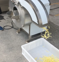 Commerciële automatische friet snijmachine, wortelsnijmachine, groentesnijmachine