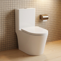 WC monobloc en céramique à siphon cascade, avec grand tuyau, à poser au sol avec socle, blanc, facile à nettoyer, fournisseur