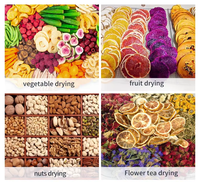 Grote industriële commerciële dehydrator voor groenten, fruit, specerijen, kruiden, wortelen, citroenen, appels, perziken, uien en aardappelen