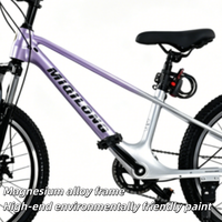 Vélo de montagne pour enfants unisexe de haute qualité en alliage de magnésium, frein à disque, 18, 20, 22 pouces, violet, bleu ciel, pour l'extérieur