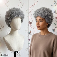 Perruque Courte Pixie Bouclée Grise avec Cuticules Alignées, Dentelle Complète 13x4, 100% Cheveux Humains, Vente en Gros à Prix Abordable