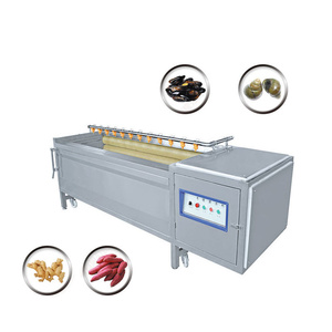 <b>Brush</b> Cleaning Machine Ginger Cleaning Machine - Product Image 4