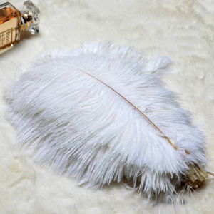 Fournisseur en gros de <span class=keywords><strong>plumes</strong></span> artisanales de 15 à 65 cm, <span class=keywords><strong>plumes</strong></span> d'autruche <span class=keywords><strong>blanches</strong></span> naturelles de grande taille, vente bon marché, pour mariage - Product Image 5