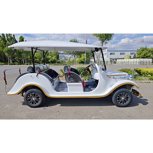 Minicoche Eléctrico Verde Claro de Cuatro Ruedas y Ocho Plazas, Vehículo de Nueva Energía, 72V, 35 km/h, Autonomía de 80-100 km, Autobús Turístico - Product Image 2