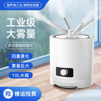 Humidificateur Industriel à Ultrasons Haute Performance 10L 180W avec Fonction de Minuterie, Faible Bruit 70dB, en Plastique, pour Réhydratation du Tabac
