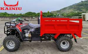 <span class=keywords><strong>Tricycle</strong></span> <span class=keywords><strong>tout</strong></span>-<span class=keywords><strong>terrain</strong></span> KAINIU ATV 300CC à haute capacité de charge, modèle 2025, nouvelle conception, pour livraison de marchandises, <span class=keywords><strong>tricycle</strong></span> robuste pour adultes - Product Image 4