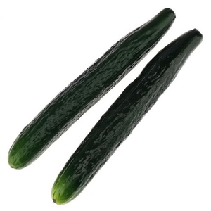 Pepino Artificial <span class=keywords><strong>de</strong></span> PU Suave <span class=keywords><strong>de</strong></span> Alta Calidad, Decoración <span class=keywords><strong>de</strong></span> Vegetales Artificiales Realistas para el Hogar, Cocina, Mesa, Exhibición <span class=keywords><strong>de</strong></span> Plantas - Product Image 2