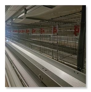 Tavuk döşeme için otomatik katman kafes kullanılan kanatlı pil tavuk kümesi satılık kuş kafesleri üzerinde en iyi fiyat - Product Image 4