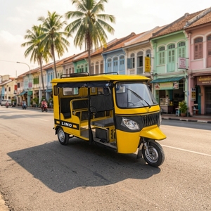 Tricycle de luxe à double rangée, moteur 250cc, idéal pour la location et le transport de passagers - Product Image 4