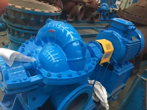 Electric High Pressure Large Volume Pump For Factory Steel Water Irrigation Marine Use OEM Customizable Double Suction Pump