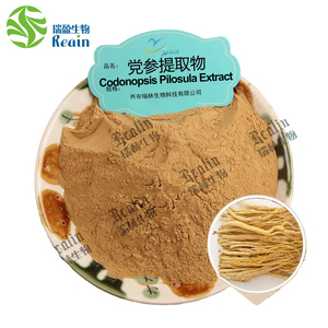 Naturale cinese estratto di Dangshen <span class=keywords><strong>Codonopsis</strong></span> <span class=keywords><strong>Radix</strong></span> Pilose radice di Asiabell con campione gratuito 10:1 estratto di radice di <span class=keywords><strong>Codonopsis</strong></span> Pilosula - Product Image 2