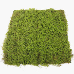 Panneau mural en mousse artificielle 30x30cm, décoration intérieure pour mariage, verdure en plastique persistante - Product Image 4