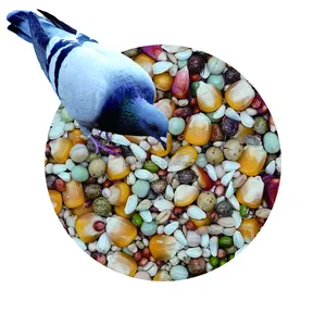 Factory Outlet Mixed Racing Pigeon Food Dried Wholesale Pigeon Food