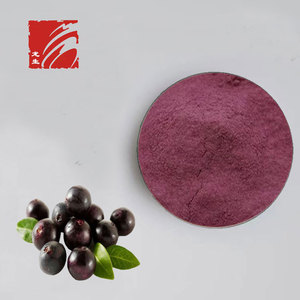 Longsheng cung cấp Nhà máy 100% hữu cơ tự nhiên bột trái cây Acai Berry bột - Product Image 3