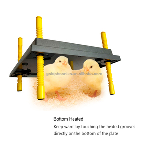 YYC termostatik hayvanlar Pet isıtıcı isıtıcı kanatlı kuş isıtma plakası bebek civciv Brooder isıtıcı - Product Image 5